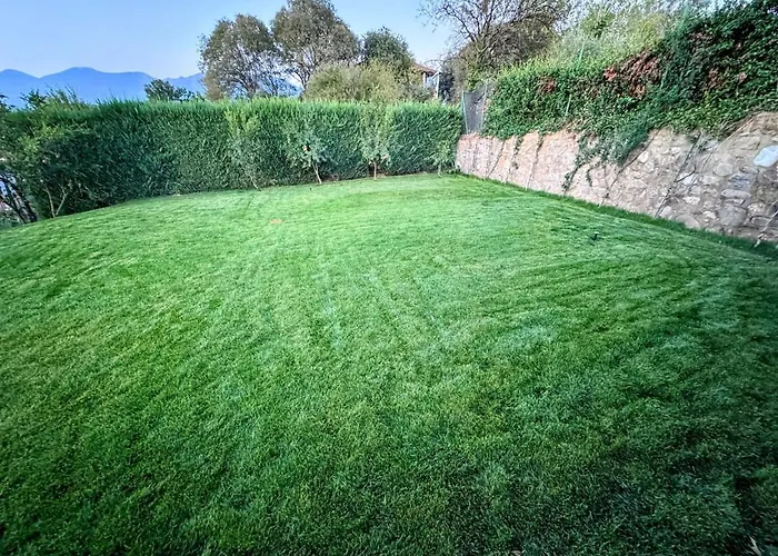 Villa Garden & Pool Tirana