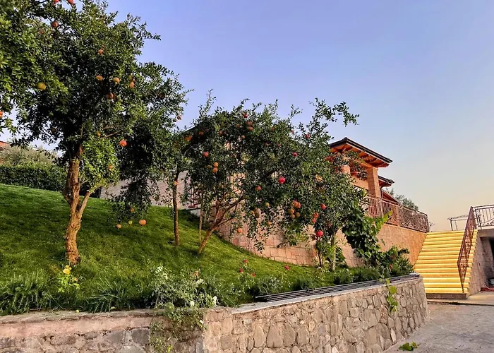 Villa Garden & Pool Tirana