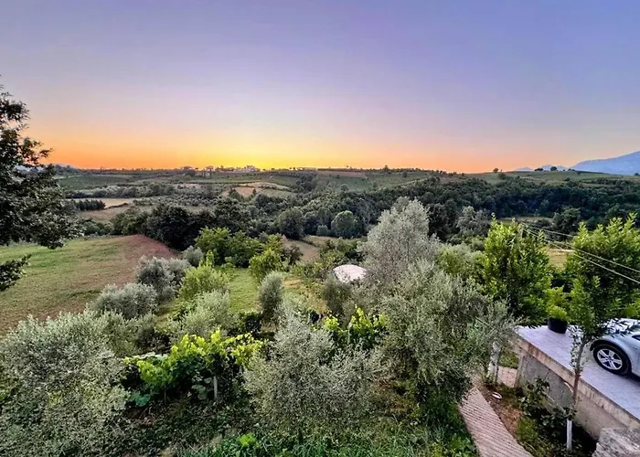 Villa Garden & Pool Tirana