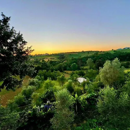 Villa Garden & Pool