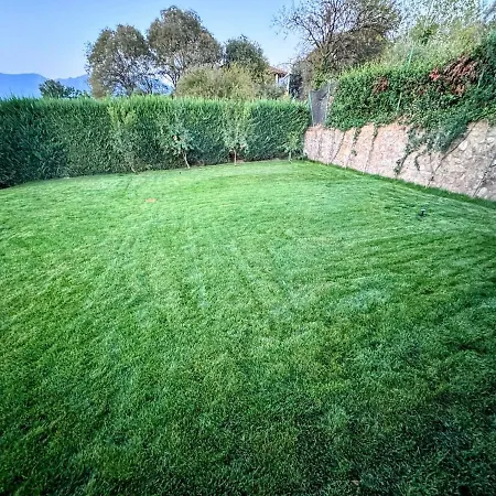 Villa Garden & Pool Tirana