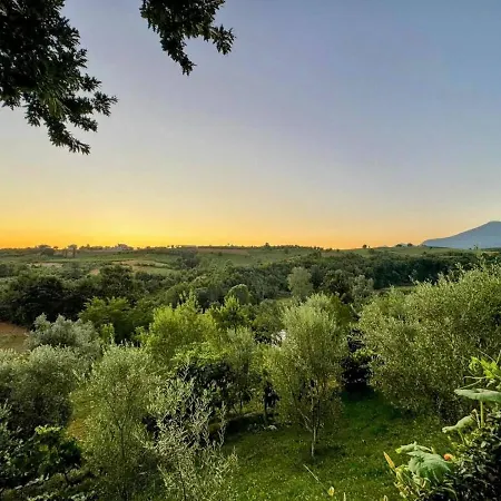 Garden Villa&pool Villa Tirana