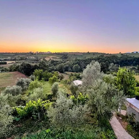 Villa Garden Villa&pool Tirana