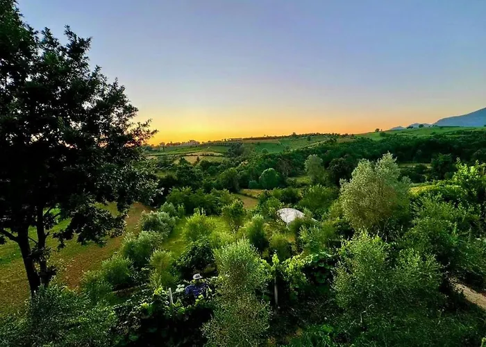 Villa Garden & Pool